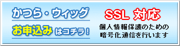 �I�[�_�[���C�h���炨�\����