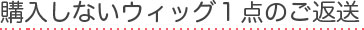 購入しないウィッグ１点のご返送