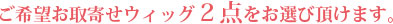 ご希望お取寄せウィッグ２点をお選び頂けます。