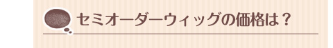 セミオーダーウィッグの価格は？