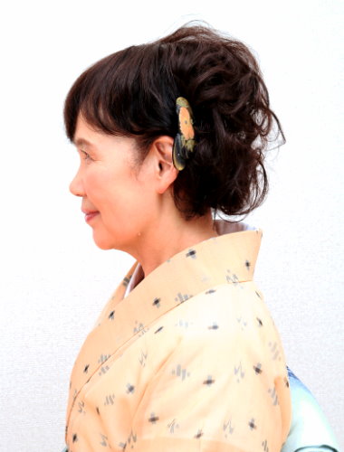 付け毛とウィッグはどう違う?