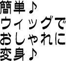 ウィッグでおしゃれに変身♪