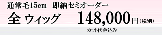 セミオーダー全ウィッグ料金表