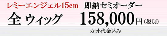 セミオーダー全ウィッグ料金表レミーヘア