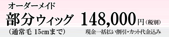 オーダーメイド部分ウィッグ料金表