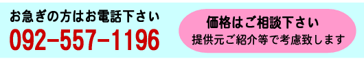 ウィッグ4テレビ雑誌ドラマ撮影に