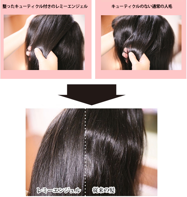 レミーヘア比較